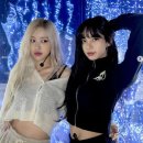 세연글로벌 | 블랙핑크 로제·리사, 빅뱅 코첼라 무대 직관 "오빠들 최고!"