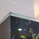 리틀 블루문 이미지