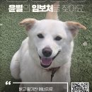 윤별/여아/3살 이미지