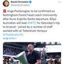 [데이비드 온스테인] 노팅엄 감독 포스테코글루 선임 이미지