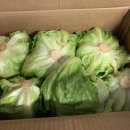 서희농장 이미지