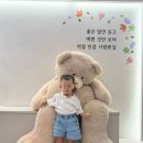 로로7 | 16개월 아기랑 로로키즈카페 동탄점 후기! 편백존에서 30분 순삭
