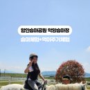 악양승마장 이미지