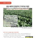괴산시골절임배추영농조합법인 이미지