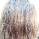 티나헤어샵 이미지