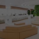 토마토피부과의원 이미지