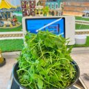 은계호수타운2 이미지