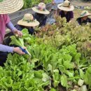 경도농장 이미지