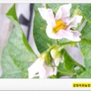 월출농장 이미지