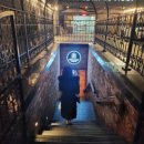 (주)피드업 | 엘빈에비뉴라운지강남 다녀왔오요! 또가고싶은곳으로 강추합니다~반짝반짝빛나는 시크릿바비뷰티신수정...