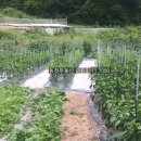 구산면530 이미지