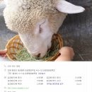 상은목장 이미지