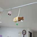 액막이 명태 이미지