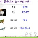 [다문화이해교육] 안내초등학교 학생들과 함께한 다문화수용성 높이기 이미지