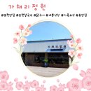 가채리식당 | [포천 맛집] 🌸가채리정원🌸 포천 칼국수 &amp; 닭구이 맛집, 맛과 분위기를 함께 즐길 수 있는 곳!