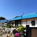 시골펜션 | 경북 울진 한적한 시골 감성 펜션 후기