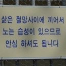 파란나라 이미지