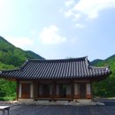 신안사 이미지