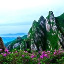 (주)그린고속관광 이미지