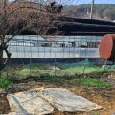 규식농장 이미지