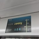 프라임이노베이션 | 2026/6/3 세종여행