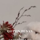 스니프 아틀라스 이미지