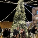 선창태권도 이미지