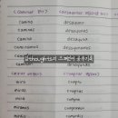 날이좋아서