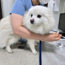 신림종합동물병원 이미지