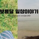 골드마인(GOLDMINE) 이미지