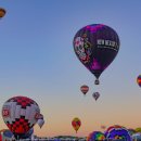 coco(코코) 이미지