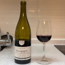 줌협동조합 | 트레이더스 레드 와인 추천 비네롱 드 뷕시 코트 샬로네즈 피노누아 2022 후기