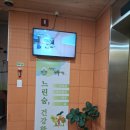 가족들과 다녀온 지리산펜션 지리산나무처럼 후기