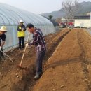 내린천 주말농장 이미지