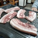 사또오리