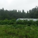 김현규농장 이미지