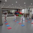 T-master 태권도 이미지