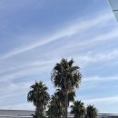 팜파스호텔제주 이미지