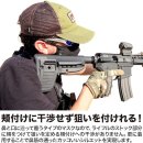 볼사이팅 이미지