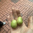 지에스25송내래미안점 | 널담 통밀식빵 내돈내산 매일 눈뜨먹 후기 🍞