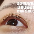 승아뷰티샵