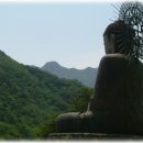 해삼보 이미지