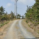 증도 관광안내소 이미지