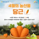 세종서부농업협동조합 이미지
