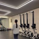 마루복싱 이미지