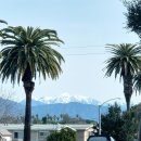 여름도겨울 이미지