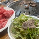 워킹도고 이미지