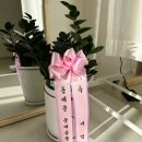 인화야채