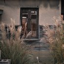 장미아파트 공영주차장 앞 이미지