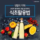 식초만 바로 알면 집 안이 반짝반짝 식초 청소법. 이미지